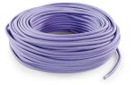 PURPLE PURPLE